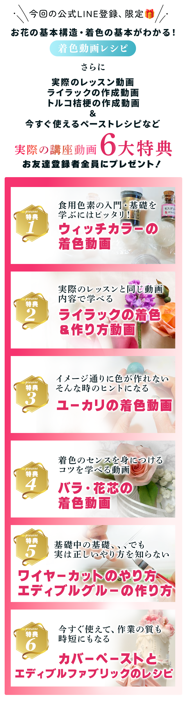 前景画像の説明